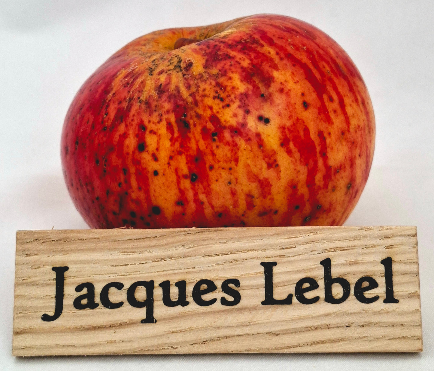 Apple tree - Jacques Lebel