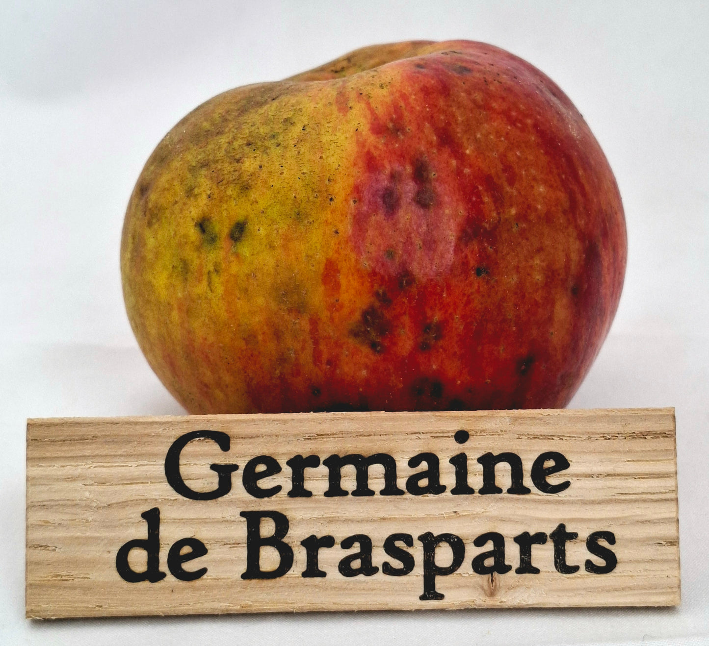Apple tree - Germaine de Brasparts