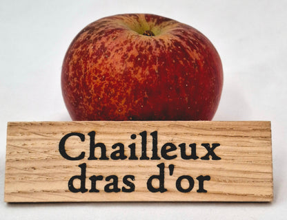 Apple tree - Chailleux cloth of gold