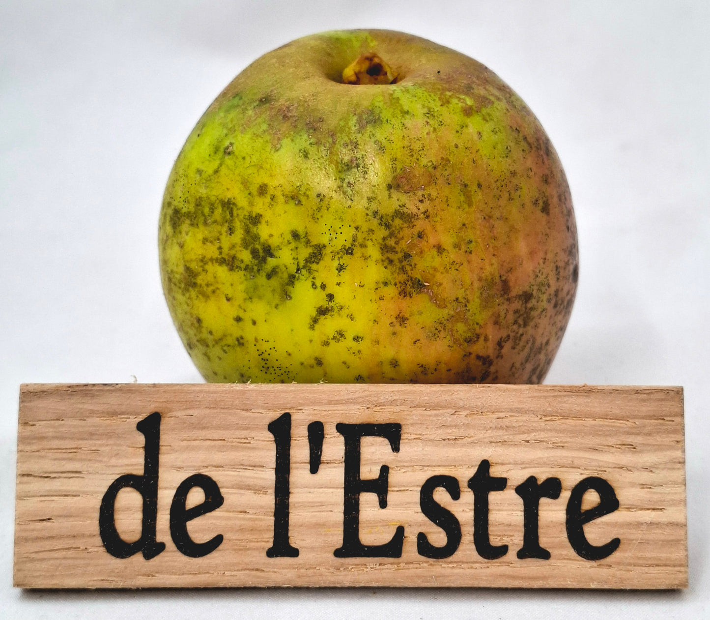 Apple tree - of the East