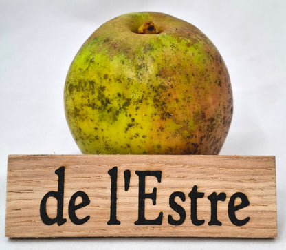 Apple tree - of the East