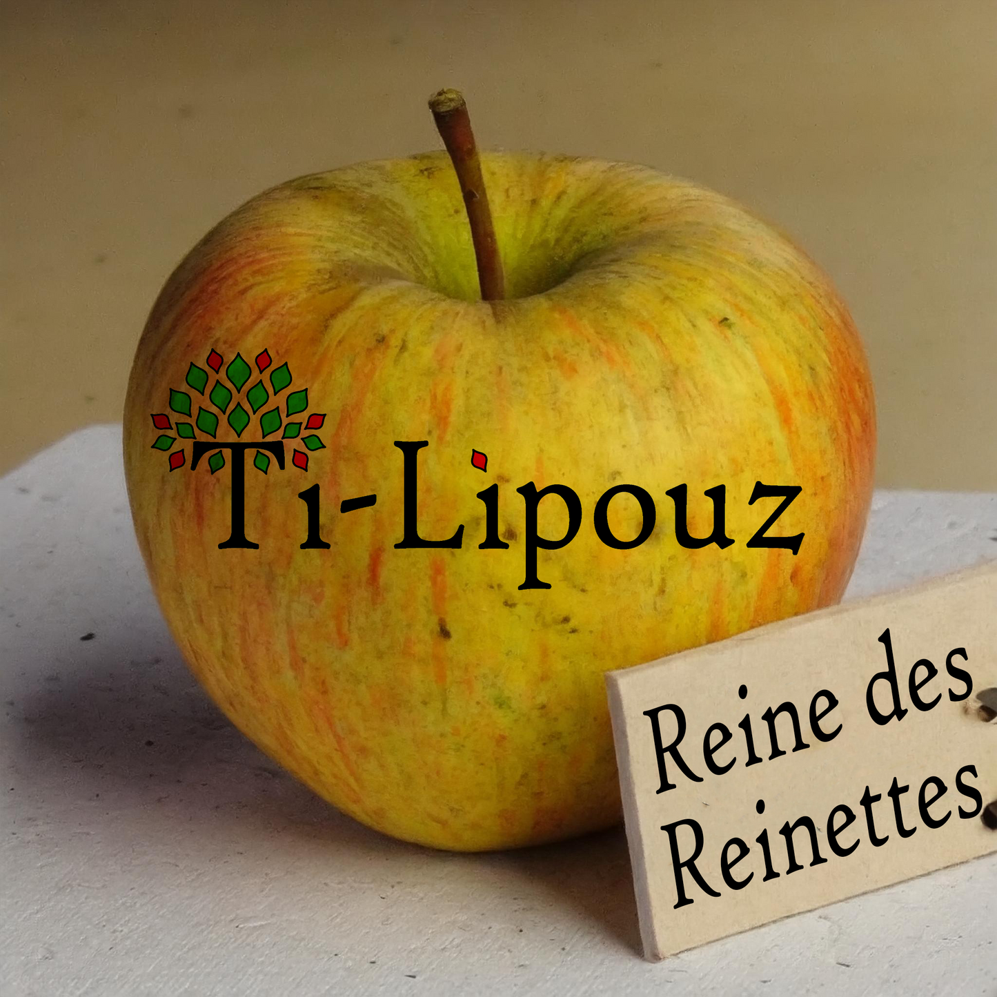 Apple tree - Queen of the Reinettes