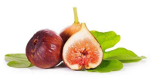 Figuier - English Brown Turkey