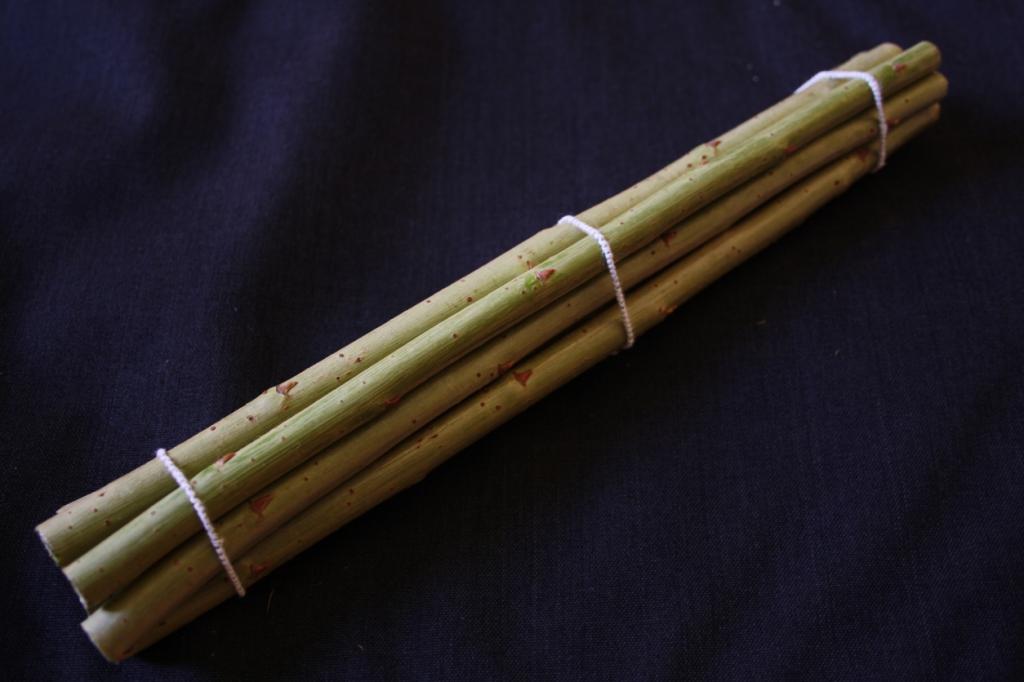 Saule OSIER - Fragilis Rouge Belge