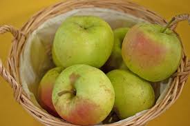 Apple tree - Winter banana